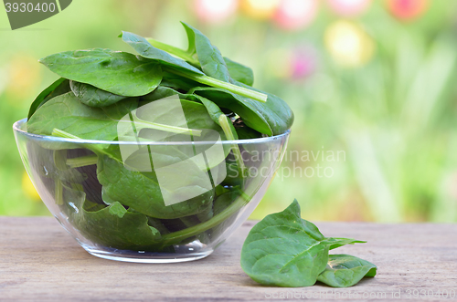 Image of Spinach in a glass bowl