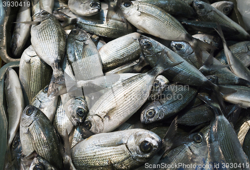 Image of Fish market