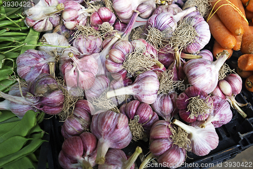 Image of Garlic cloves