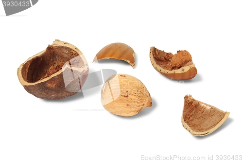 Image of Hazelnut with broken shell