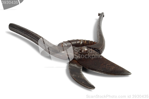 Image of Old pruning shears