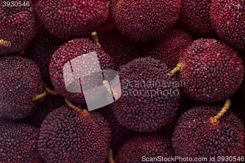 Image of Yumberry (Chinese bayberry)