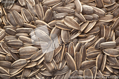 Image of Sunflower seeds