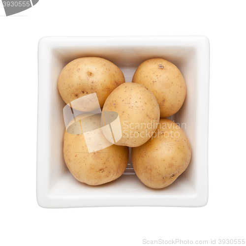 Image of Baby potato