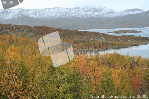 Image of Swedish Autum