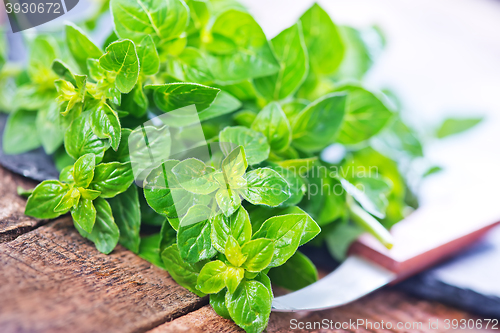 Image of marjoram