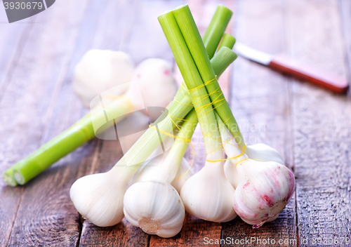 Image of garlic