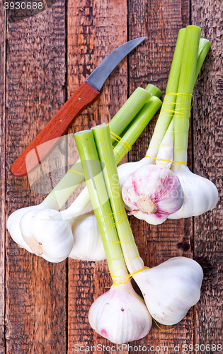 Image of garlic