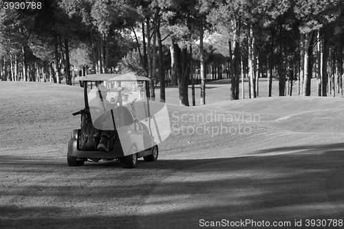 Image of couple in buggy on golf course