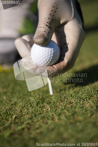 Image of golf player placing ball on tee