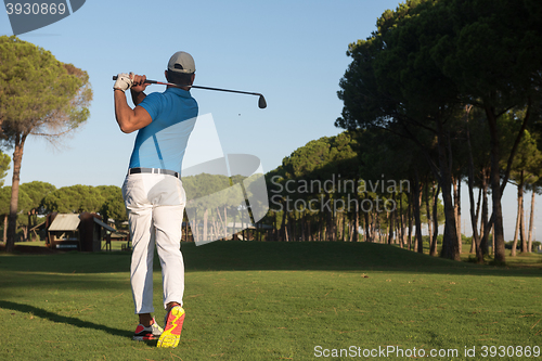 Image of golf player