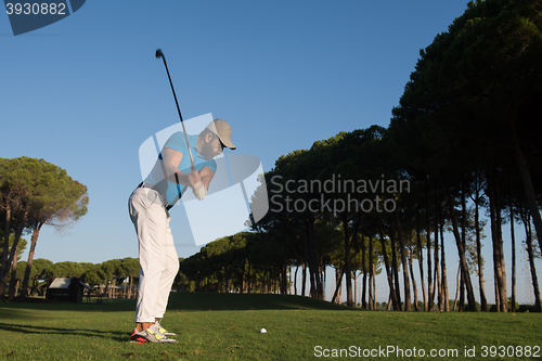 Image of golf player