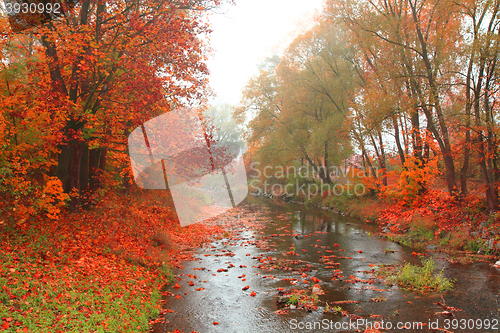 Image of autumn river landscape