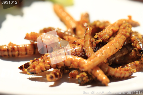 Image of grilled worm with curry