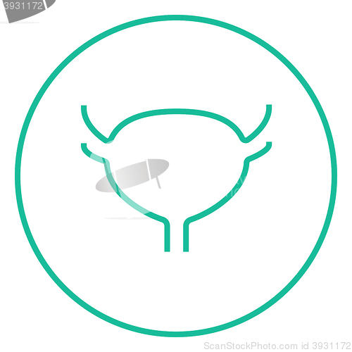 Image of Urinary bladder line icon.