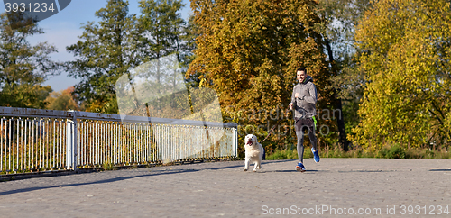 Image of happy man with labrador dog running outdoors