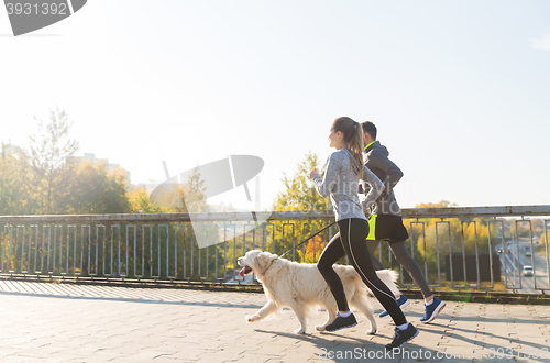 Image of happy couple with dog running outdoors