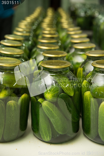 Image of gurtsov conservation. Fresh cucumbers in jars