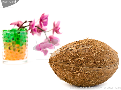 Image of Coconut