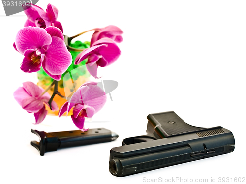 Image of Gun and Flower