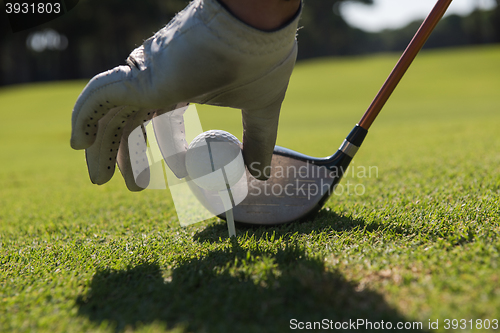 Image of golf player placing ball on tee