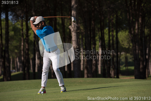 Image of golf player hitting shot