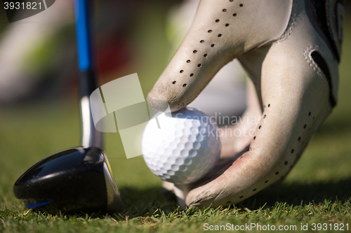 Image of golf player placing ball on tee