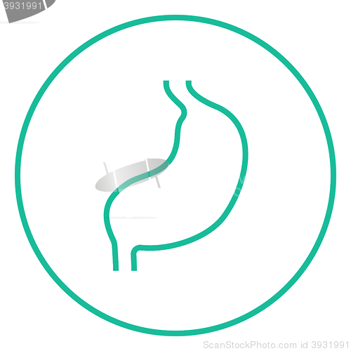 Image of Stomach line icon.