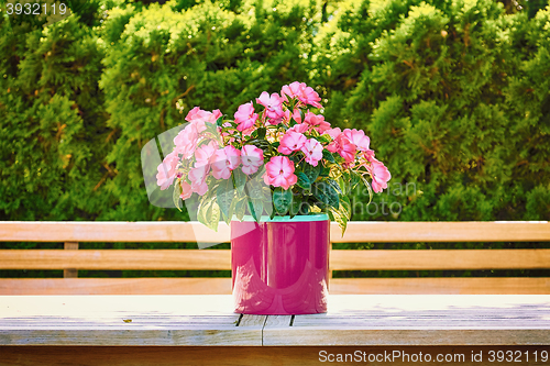 Image of Flowers in the Flower Pot