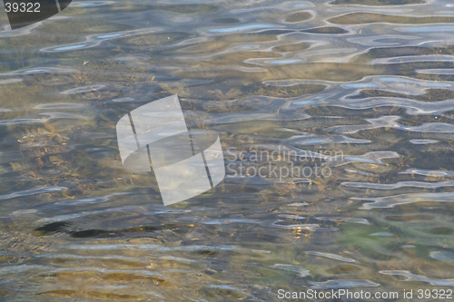 Image of Shallow waters