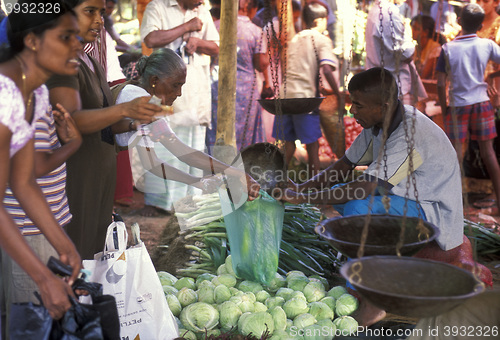 Image of SRI LANKA HIKKADUWA MARKET