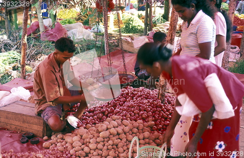 Image of SRI LANKA HIKKADUWA MARKET