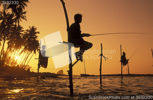 Image of SRI LANKA WELIGAMA FISHERMEN