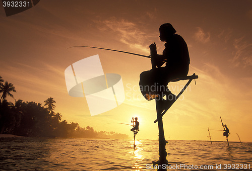 Image of SRI LANKA WELIGAMA FISHERMEN