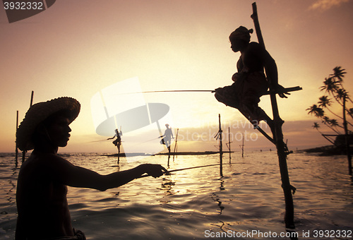 Image of SRI LANKA WELIGAMA FISHERMEN