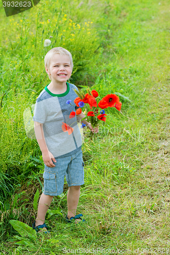 Image of Cute boy in field with red poppies bouquet