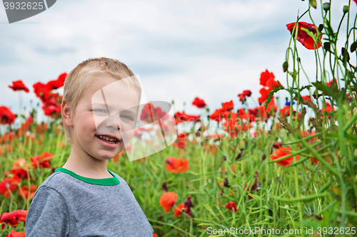 Image of Happy little boy in field with red poppies