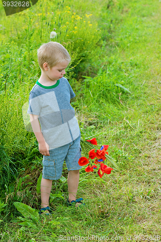 Image of Cute boy in field with red poppies bouquet