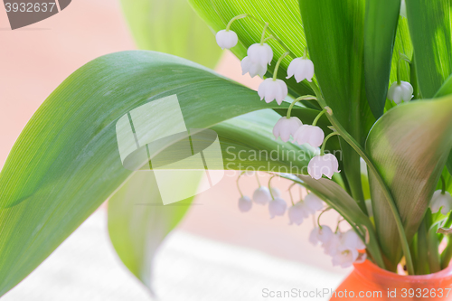 Image of Bouquet of lily of the Valley