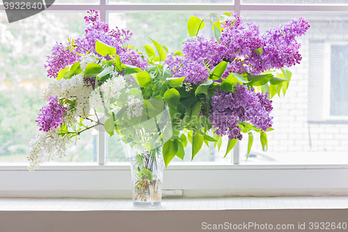 Image of Lilac bouquet in vase on window