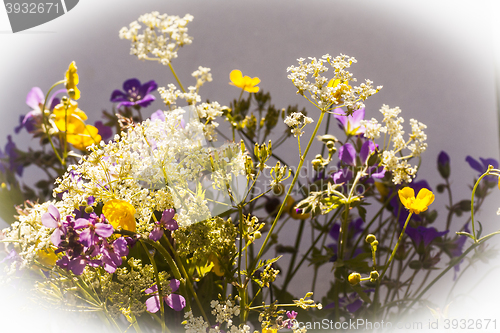 Image of summer bouquet