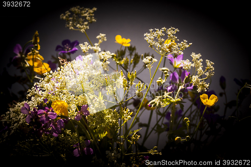 Image of summer bouquet