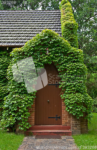 Image of vine covered church building