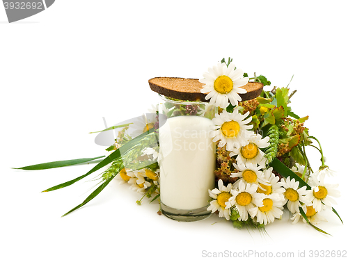 Image of Bread, Milk And Camomile 