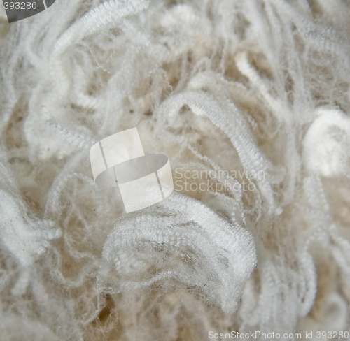 Image of wool background