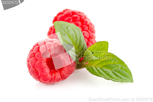 Image of Raspberry fruit isolated