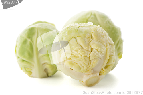 Image of Fresh brussels sprouts