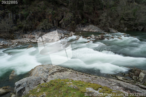 Image of Paiva river