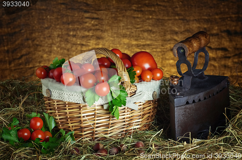 Image of Harvest of Cherry Tomatoes