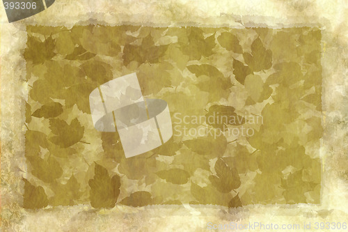 Image of old worn leafy parchment